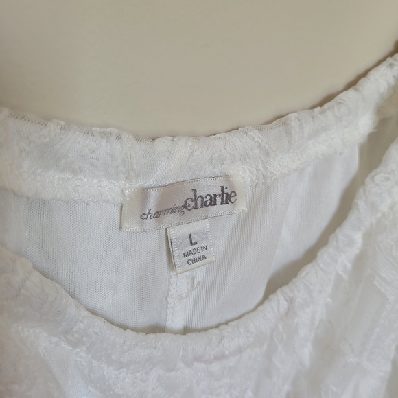 Charming Charlie Lace Dress - Picture 4 of 5